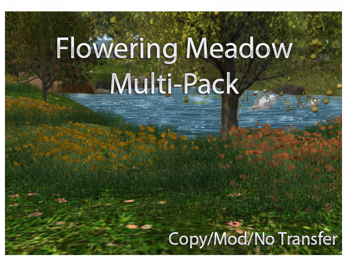 Flowering Meadow Multi Pack - 42 different copiable meadow flowers and grasses with free animated butterflies!
