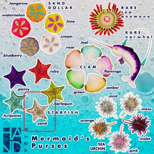 [HANDverk]Mermaid's Purse.starfish.sand 