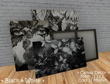|| When I'm Bored || Decor || 100% Mesh || Canvas || Black & White