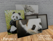|| When I'm Bored || Decor || 100% Mesh || Canvas || Pandas
