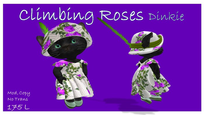 Dinkie Climbing Roses Purkle