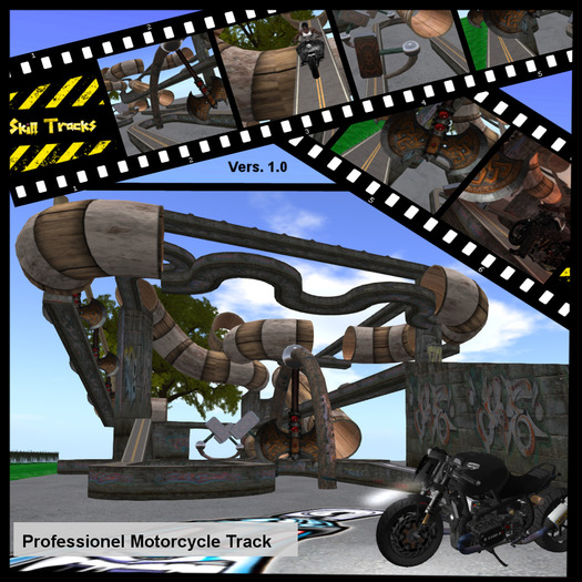 (Skill Tracks) Professional