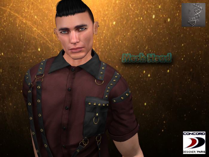 :::CONCORD::: GENESIS Mesh Head Applier HUD 13