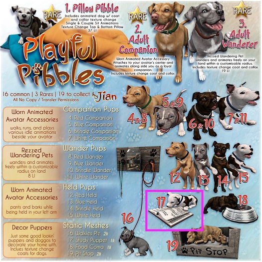 JIAN Playful Pibbles BOX 17. Study Pupper