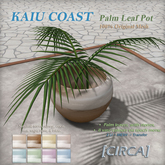 [CIRCA] - "KAIU COAST" Palm Leaf Pot