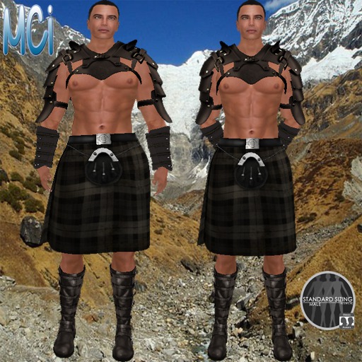 Mystic Ravenswood Warrior