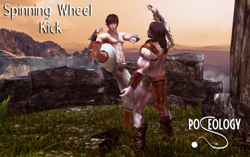 Poseology - Spinning Wheel Kick