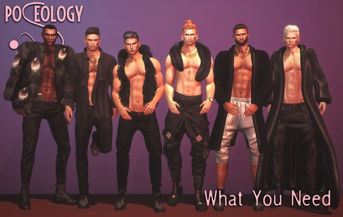 Poseology - What You Need