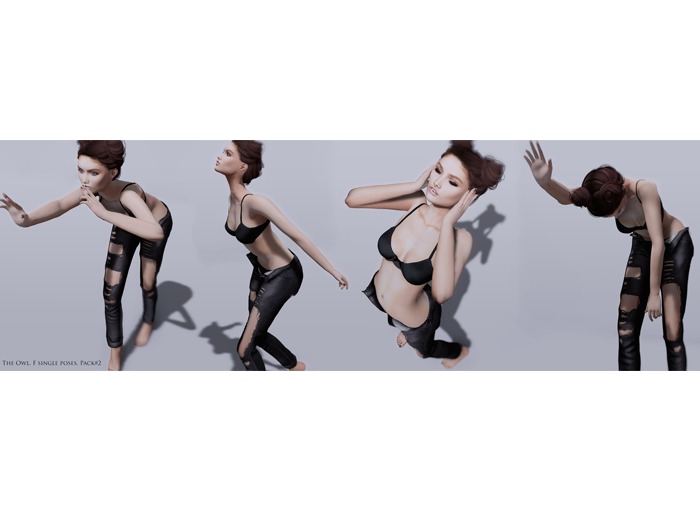 The Owl. Single Poses. Pack #2