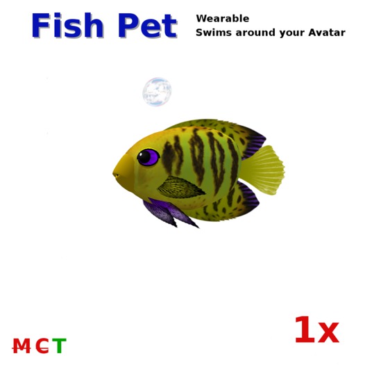 Pet Fish Yellow
