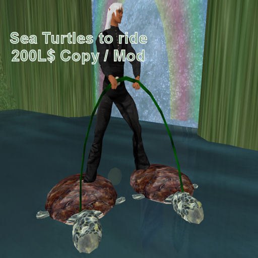 Sea Turtle Ryder 3