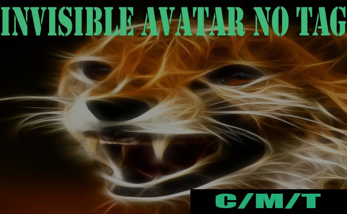 OY! INVISIBLE AVATAR NO TAG