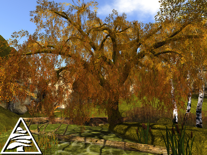 Weeping Willow AUTUMN M/T