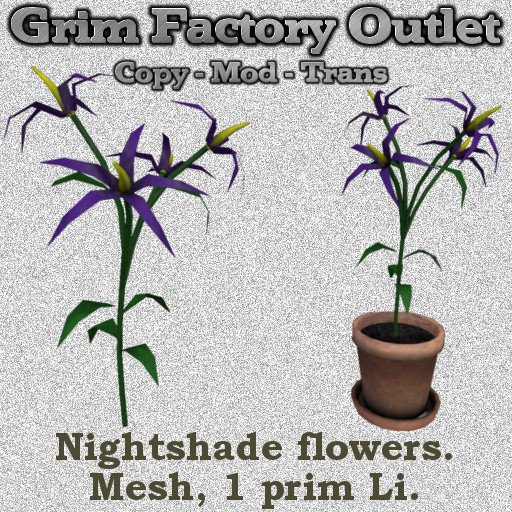 Nightshade Flowers (Boxed)