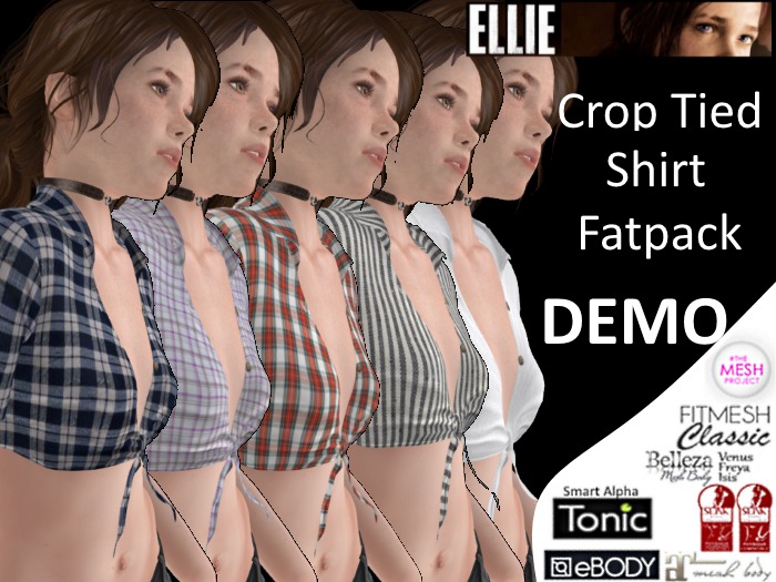 ELLIE Crop Tied Shirt DEMO