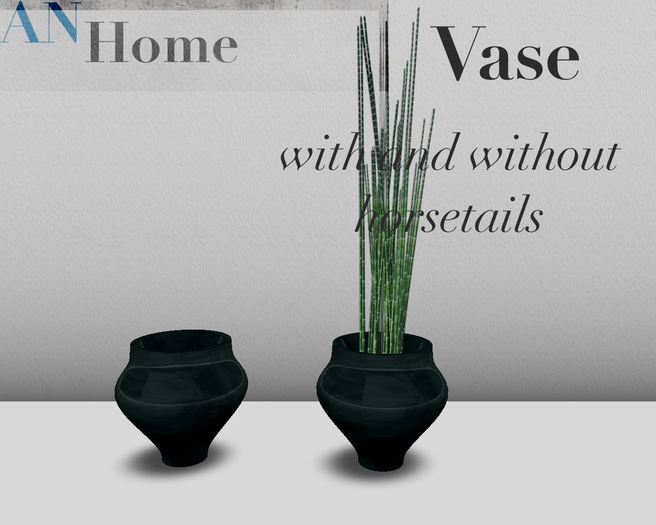 AN Vase 1b (box)