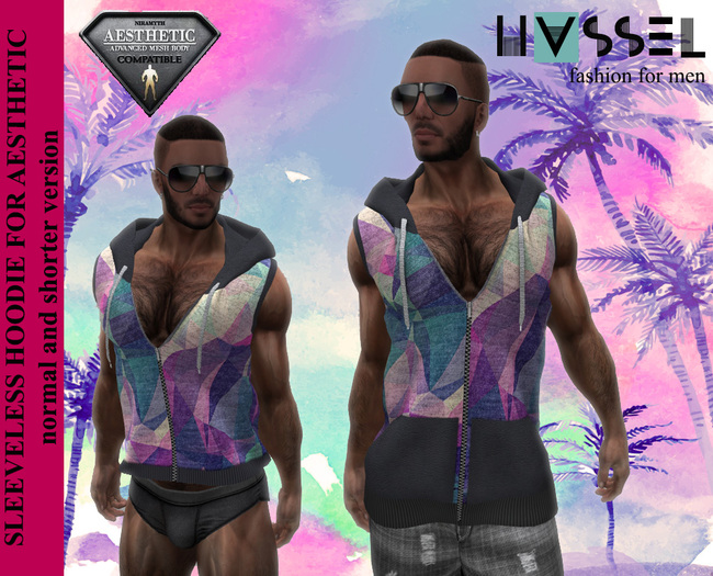 (HASSEL) 2 SLEEVELESS HOODIES C2 COLORFUL AESTHETIC NIRAMYTH