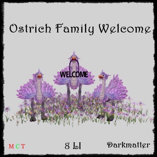 Welcome Ostrich