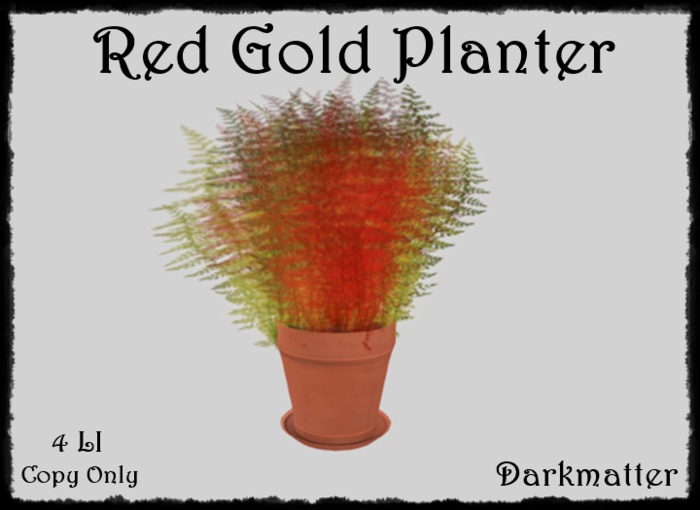 Red Gold Plant