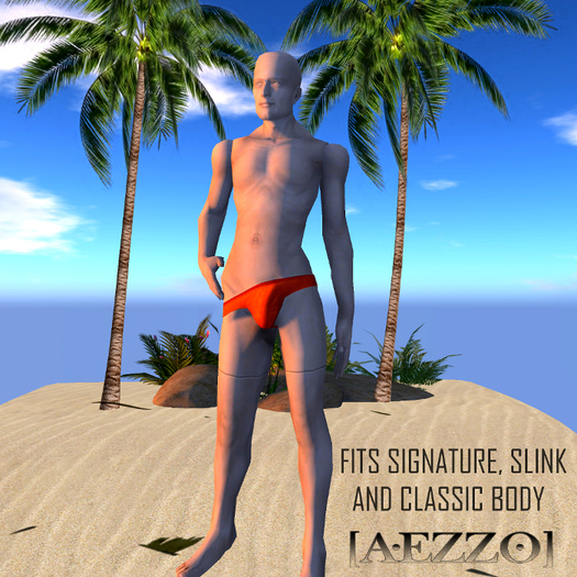 [Aezzo] Swimsuit Eric ORANGE