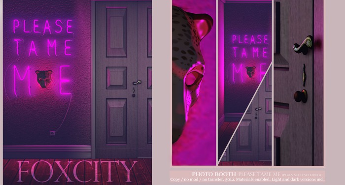 FOXCITY. Photo Booth - Please Tame Me (Boxed HUD. Wear me)