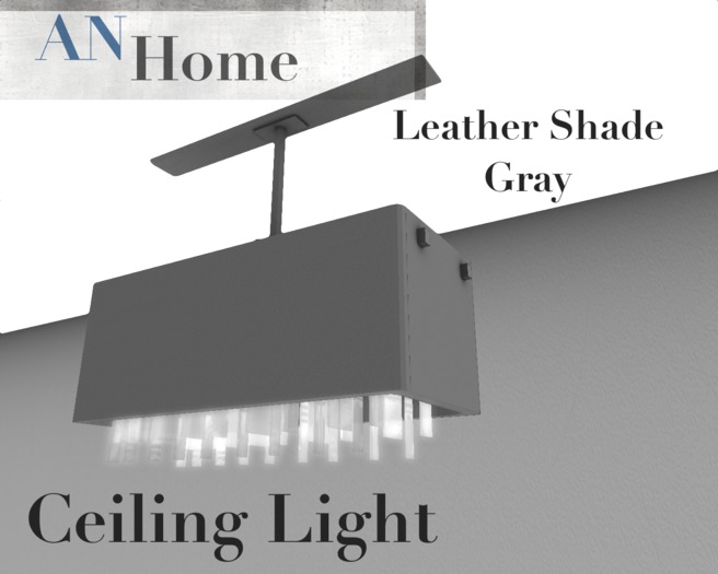 AN Ceiling light leather gray (medium) (box)