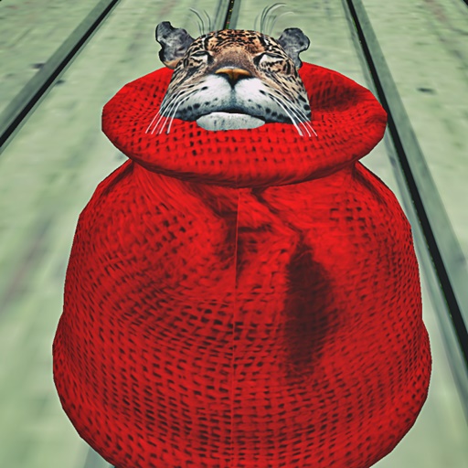 Wild Kajaera Cats - Jaguar TT 20 / FL 13  M