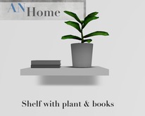 AN  Shelf (small) with plant & books (box)
