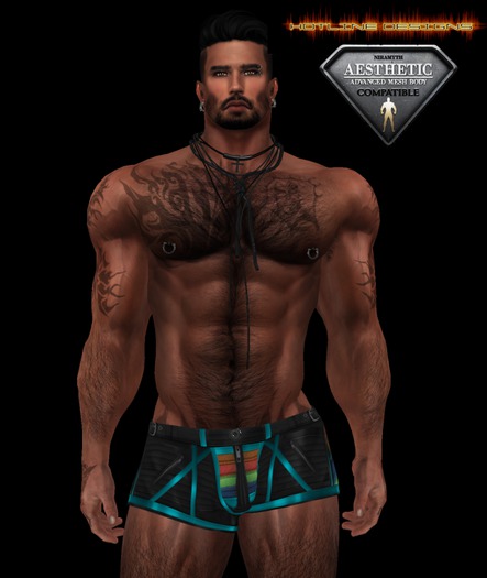 HOTLINE ROGUE SHORT GAY PRIDE