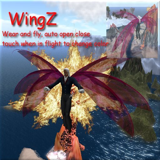 WingZ - Boxed
