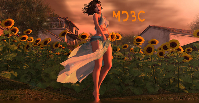 *MDBC* pregnancy pose sunflower
