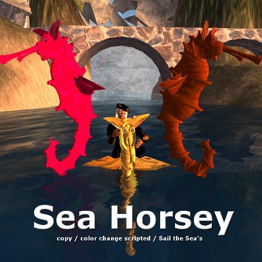 Sea Horsey - Boxed