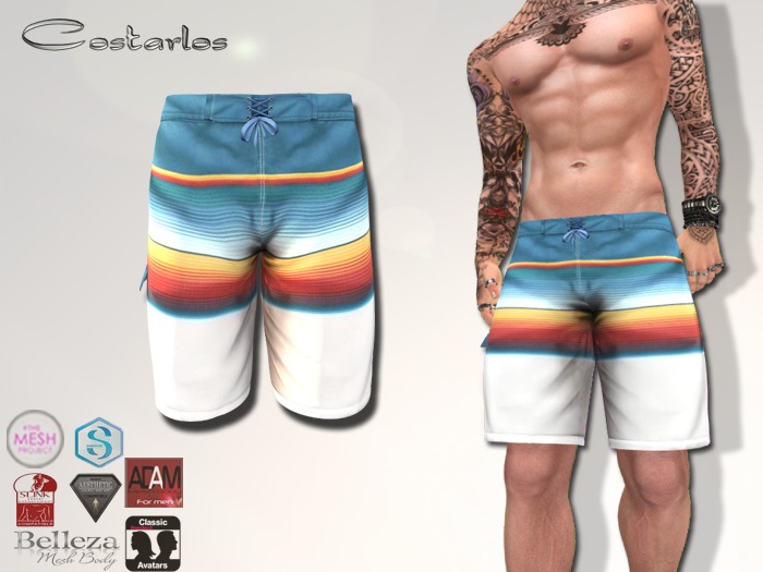 Costarlos Boardshorts rainbow