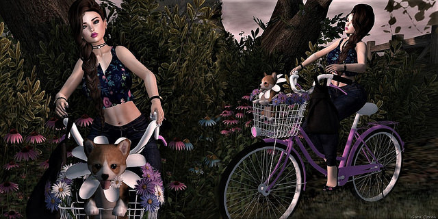 ENIIPose- Bicicle Tour