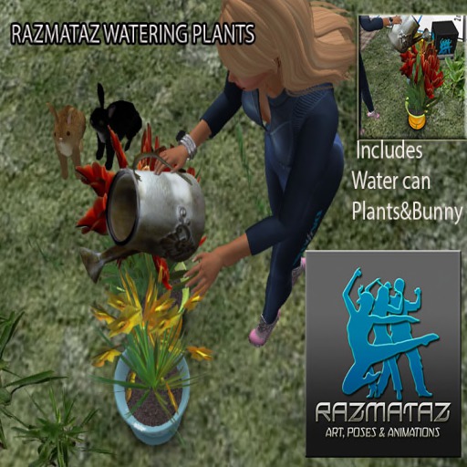 Razmataz Watering and Plants (box)