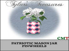 .:TT:.  PATRIOTIC MASON JAR PINWHEELS box