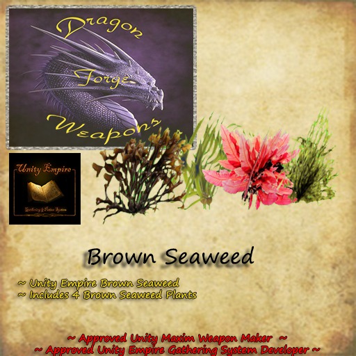 Brown Seaweed (Boxed)