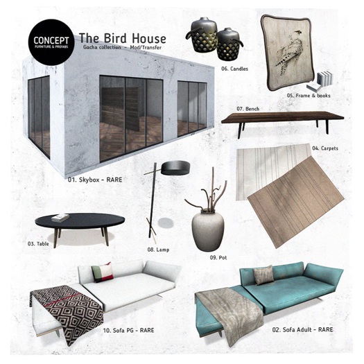 Concept} *05. The Bird House. Frame & Books