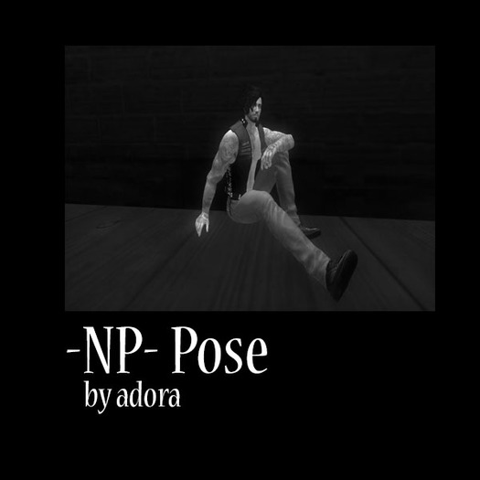 -NP- Pose Attitude box