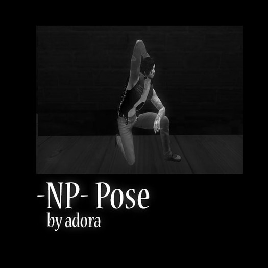 -NP- Pose Primal box