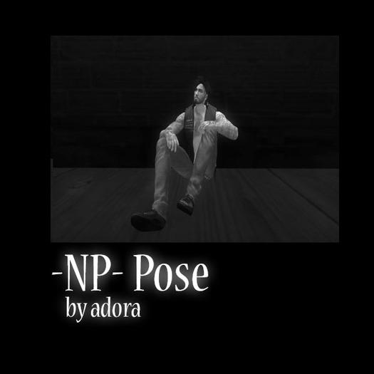 -NP- Pose Dynamic