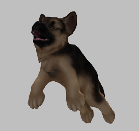 JIAN Scruffy Shepherds 18. Held Tan Black