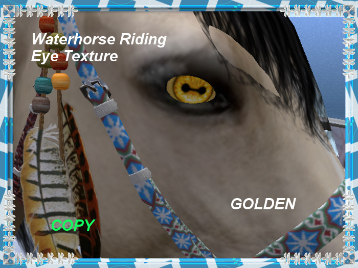 Waterhorse Riding Horse EyeGolden