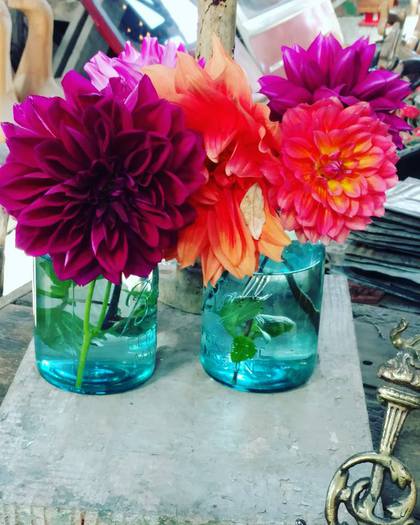 Colorful Flowers