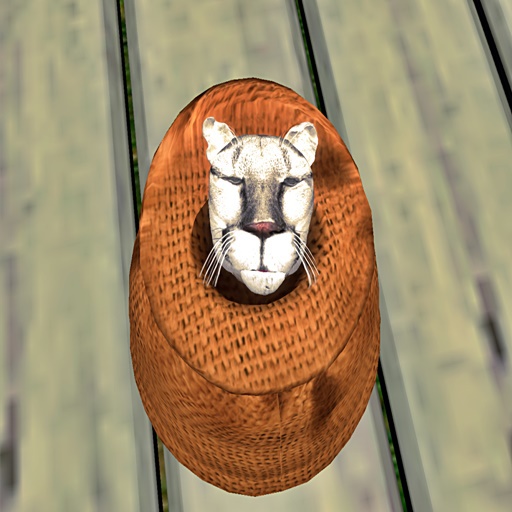 Wild Kajaera Cat - Cougar  TT 19 / FL 15  F