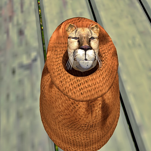 Wild Kajaera Cat - Cougar  TT 18 / FL 15  F