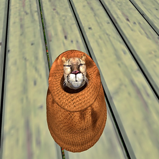 Wild Kajaera Cat - Cougar/Leopard  TT 27 / FL 6  F