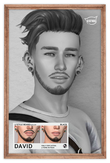 /Mr. Ronnie/ beard David [Demo]