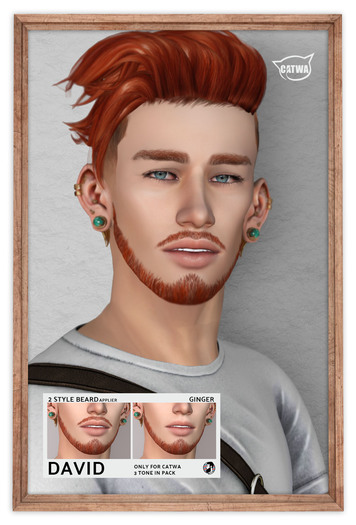 /Mr.Ronnie/ beard Devid [Ginger]