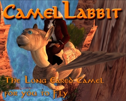 CamelLabbit - Boxed